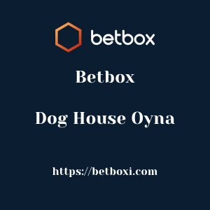 Betbox Dog House Oyna